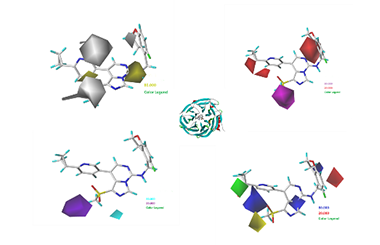Docking and 3D-QSAR Studies on the Imidazo[1,5- c]pyrimidine Derivative as EED Inhibitors 2011-2994